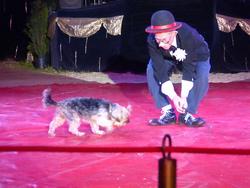 Clic pour agrandir l'image (1024x768 pixels; 99 KB)