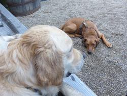 Click to see big picture (1024x768 pixels; 163 KB)