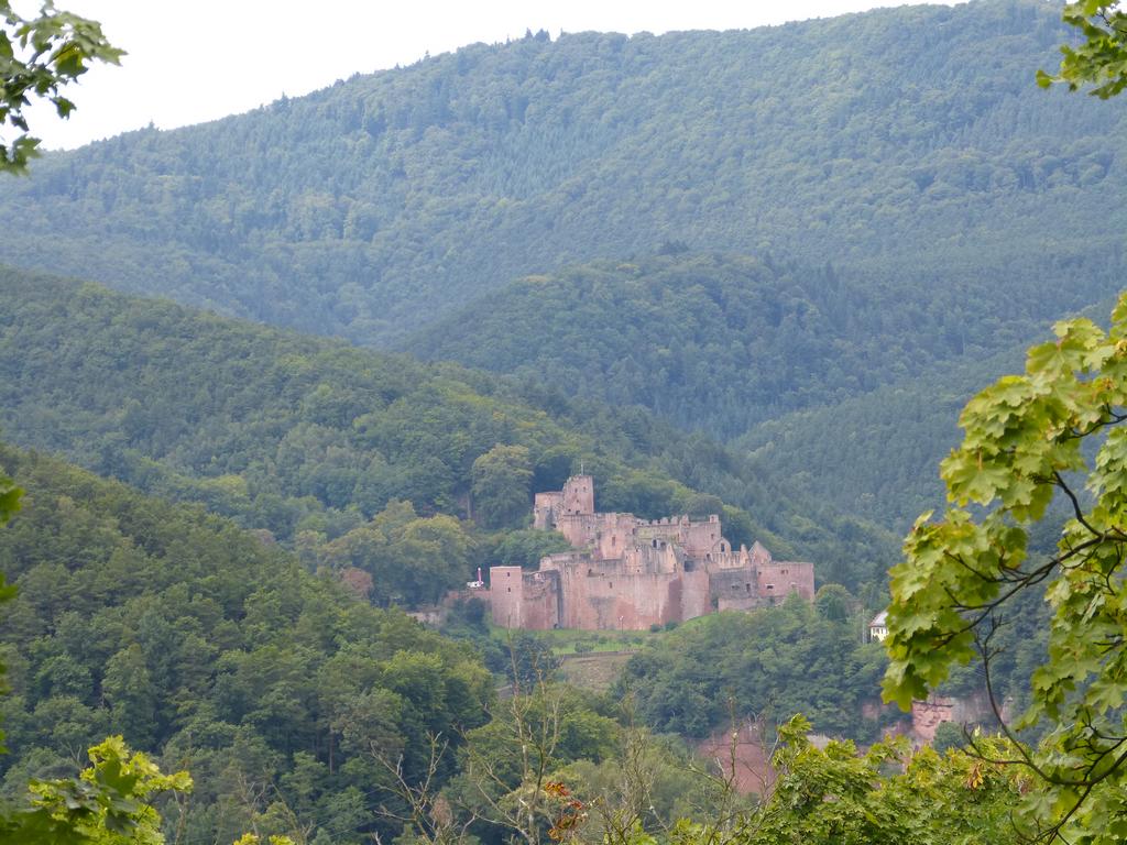 {Clic pour voir plus grand}