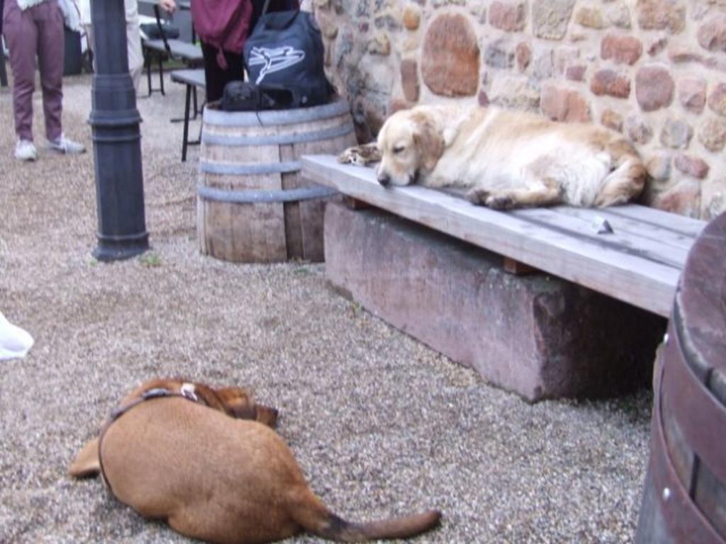 {Clic pour voir plus grand}