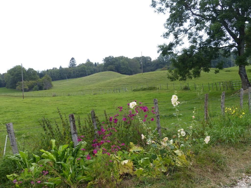 {Clic pour voir plus grand}