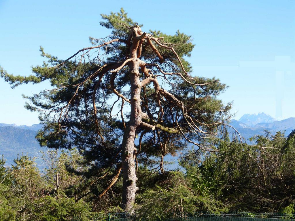 {Clic pour voir plus grand}