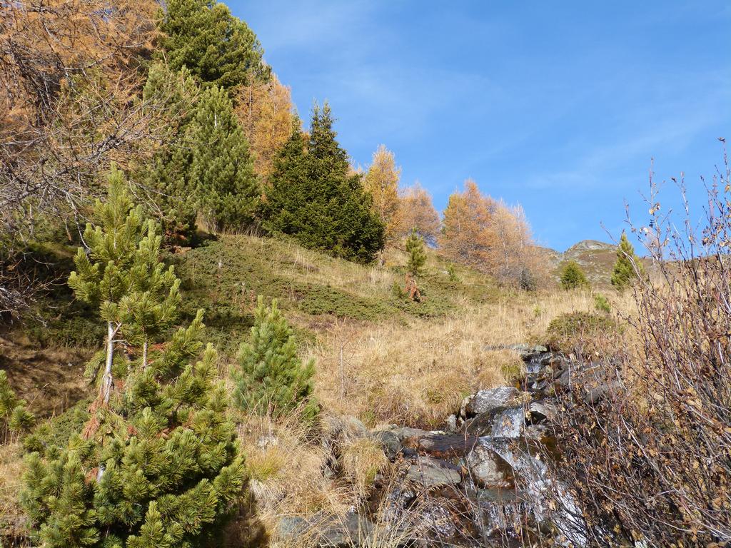 {Clic pour voir plus grand}