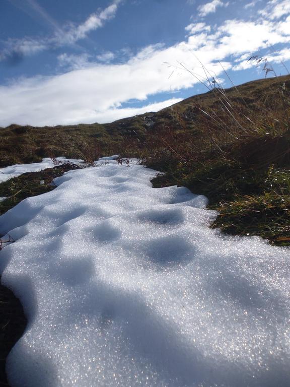 {Clic pour voir plus grand}