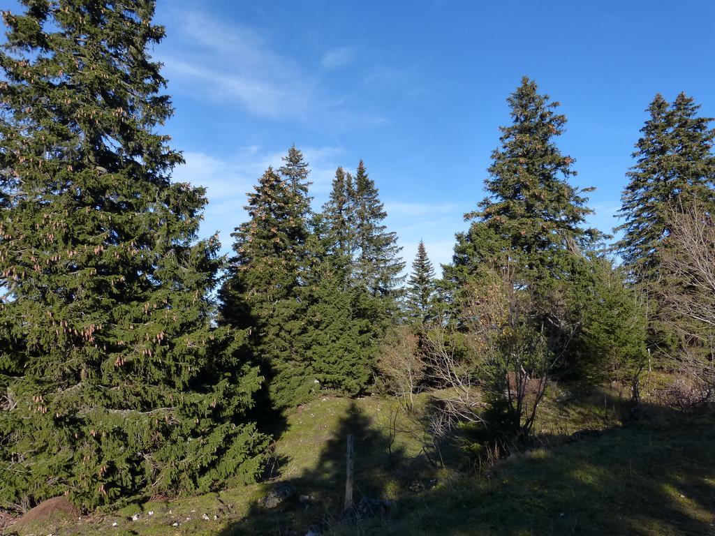 {Clic pour voir plus grand}