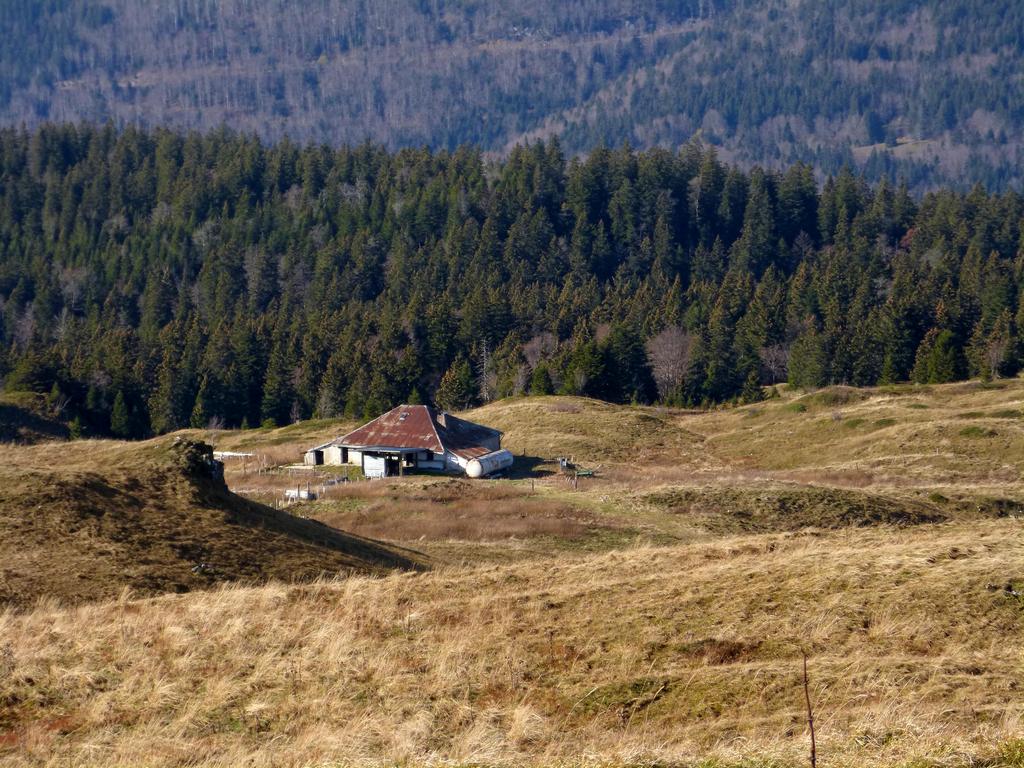 {Clic pour voir plus grand}