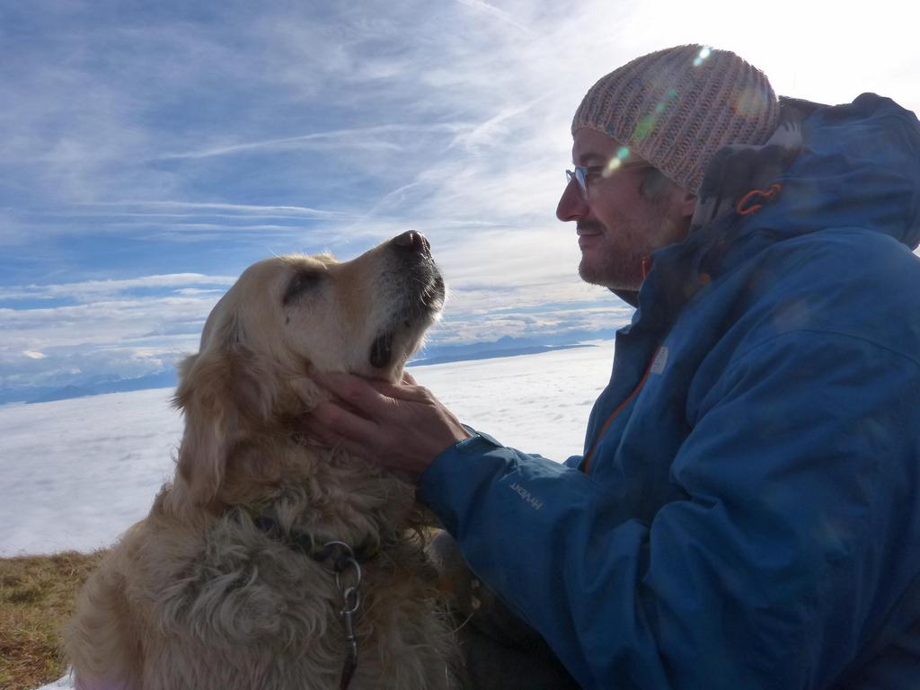 {Clic pour voir plus grand}