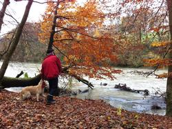 Click to see big picture (1024x765 pixels; 257 KB)