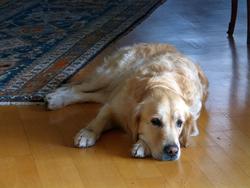 Click to see big picture (1024x768 pixels; 90 KB)