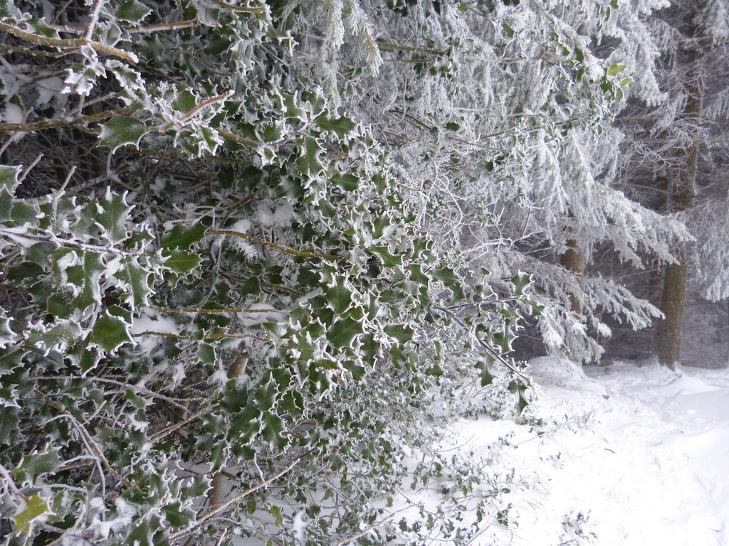 {Clic pour voir plus grand}