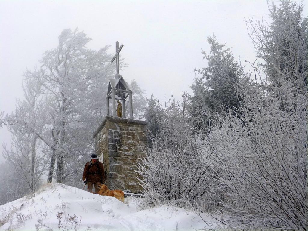 {Clic pour voir plus grand}