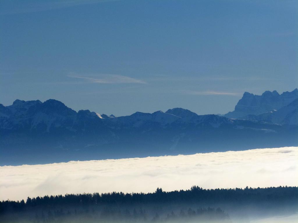 {Clic pour voir plus grand}