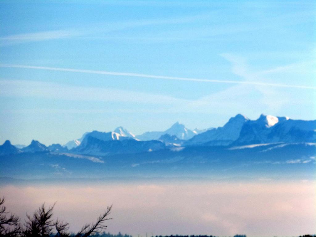 {Clic pour voir plus grand}