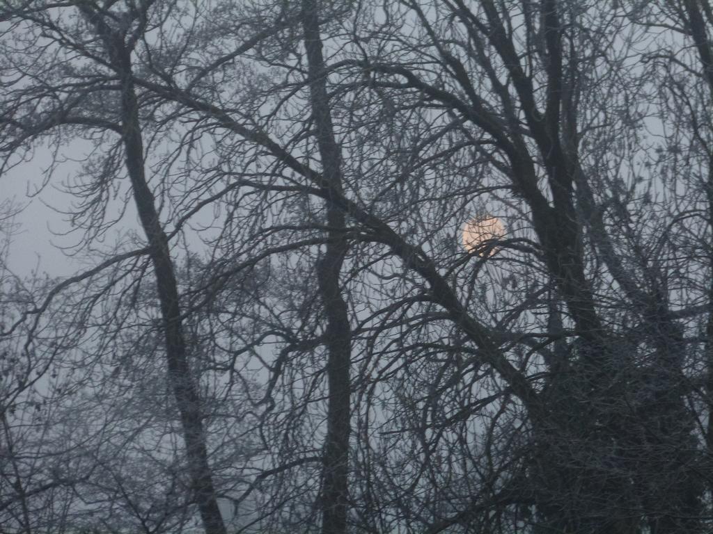 {Clic pour voir plus grand}