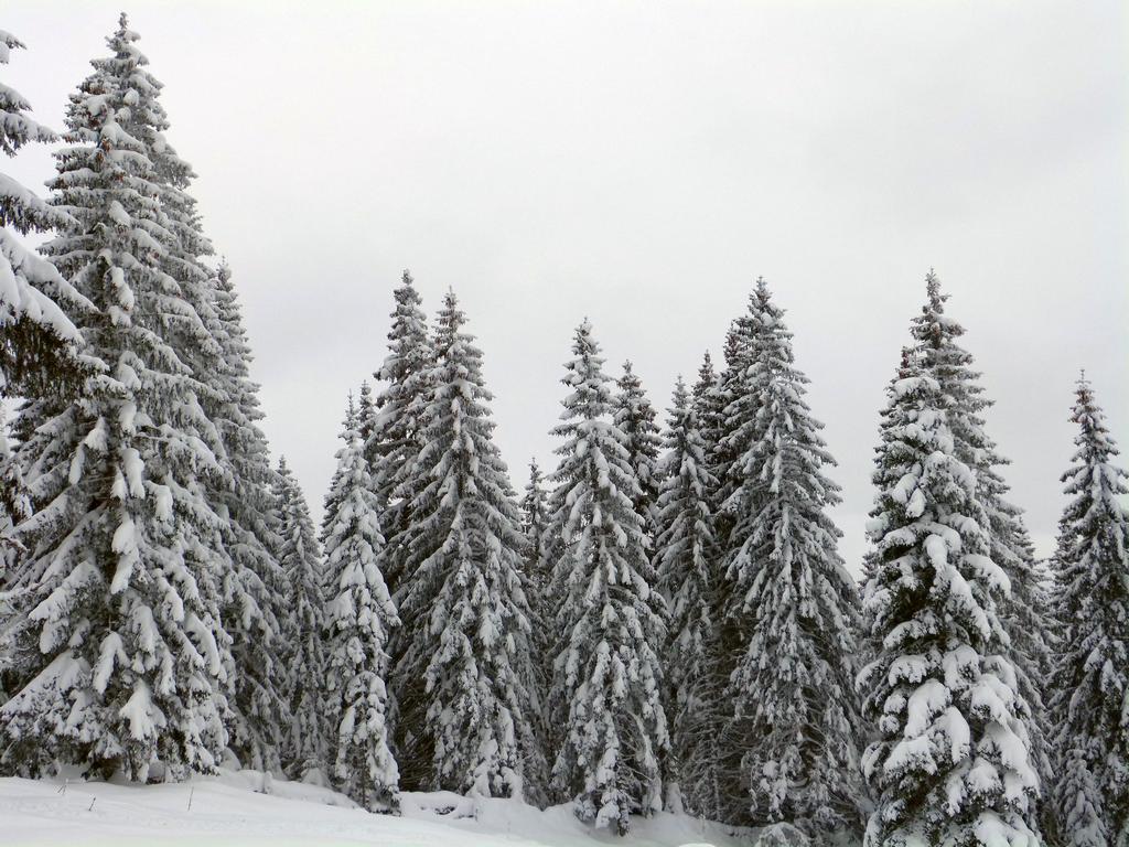 {Clic pour voir plus grand}