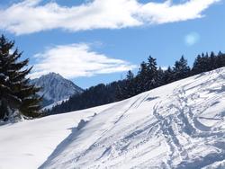 Click to see big picture (1024x768 pixels; 122 KB)