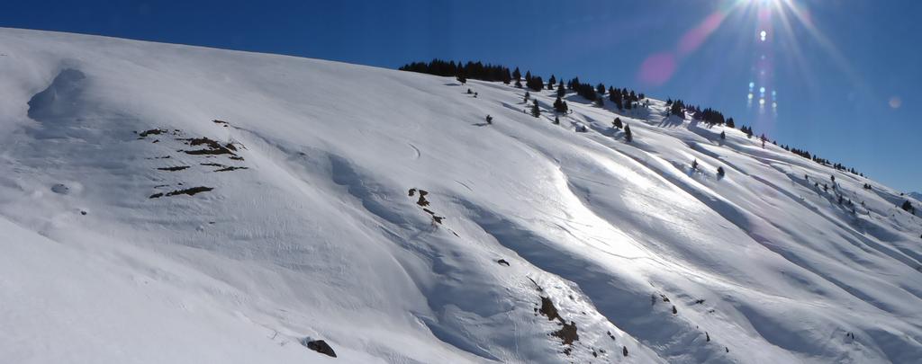 {Clic pour voir plus grand}