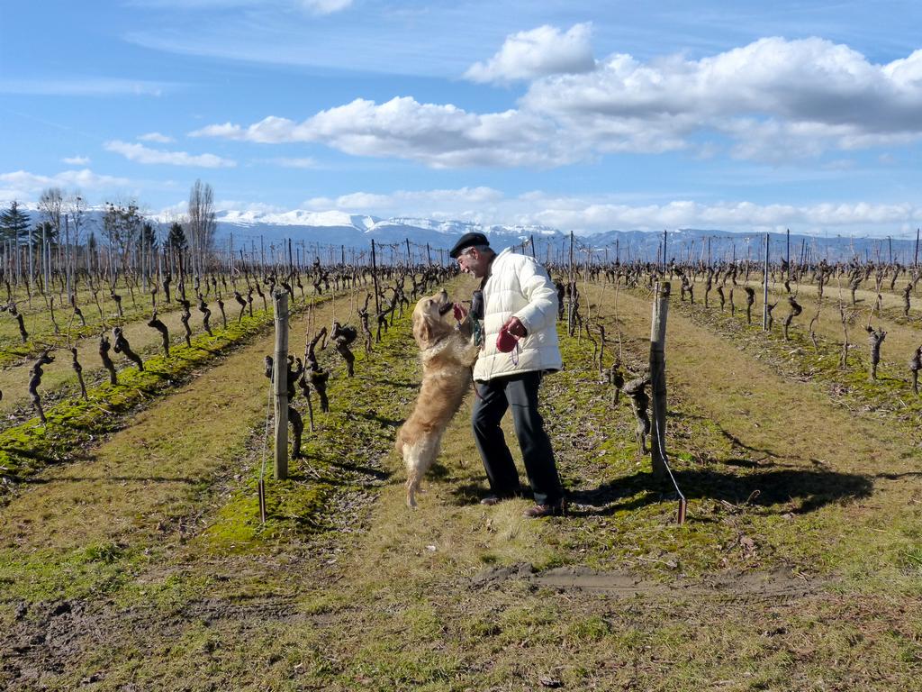 {Clic pour voir plus grand}