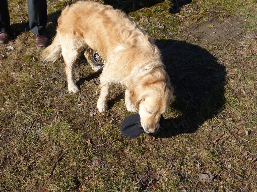 {Clic pour voir plus grand}