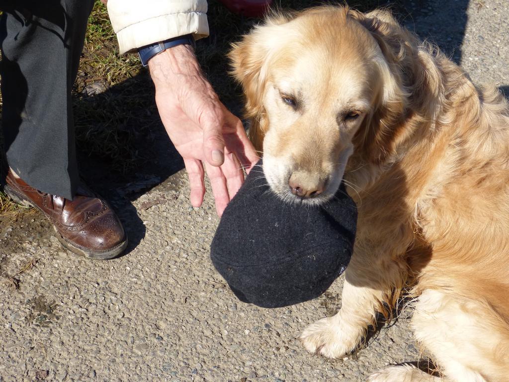 {Clic pour voir plus grand}