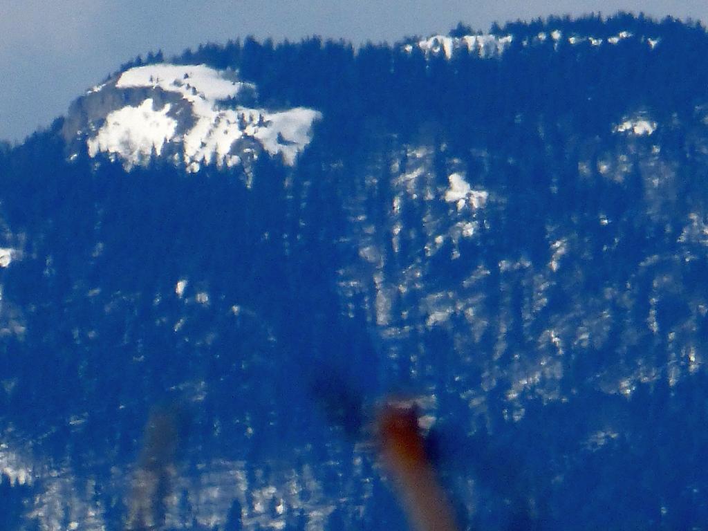 {Clic pour voir plus grand}