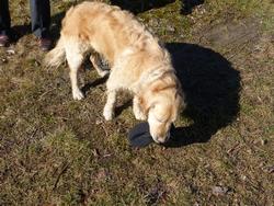 Click to see big picture (1024x768 pixels; 246 KB)