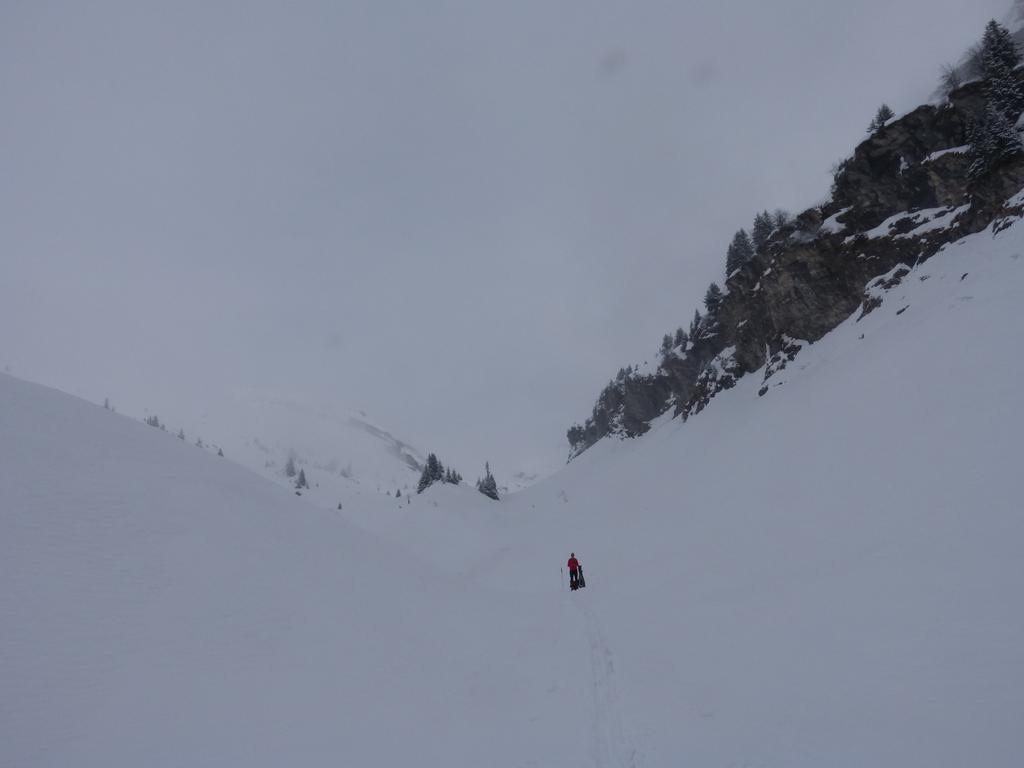 {Clic pour voir plus grand}