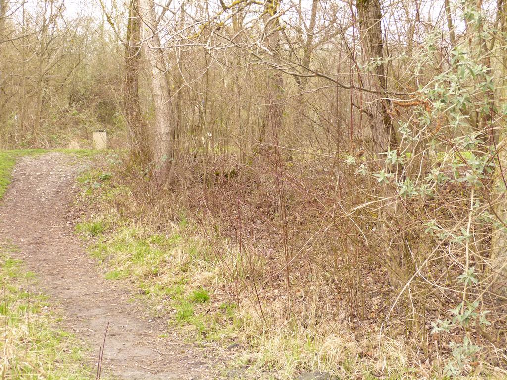 {Clic pour voir plus grand}