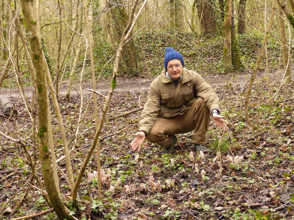 {Clic pour voir plus grand}