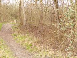 Click to see big picture (1024x768 pixels; 249 KB)