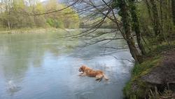 Click to see big picture (1024x576 pixels; 124 KB)