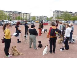 Click to see big picture (1024x768 pixels; 133 KB)