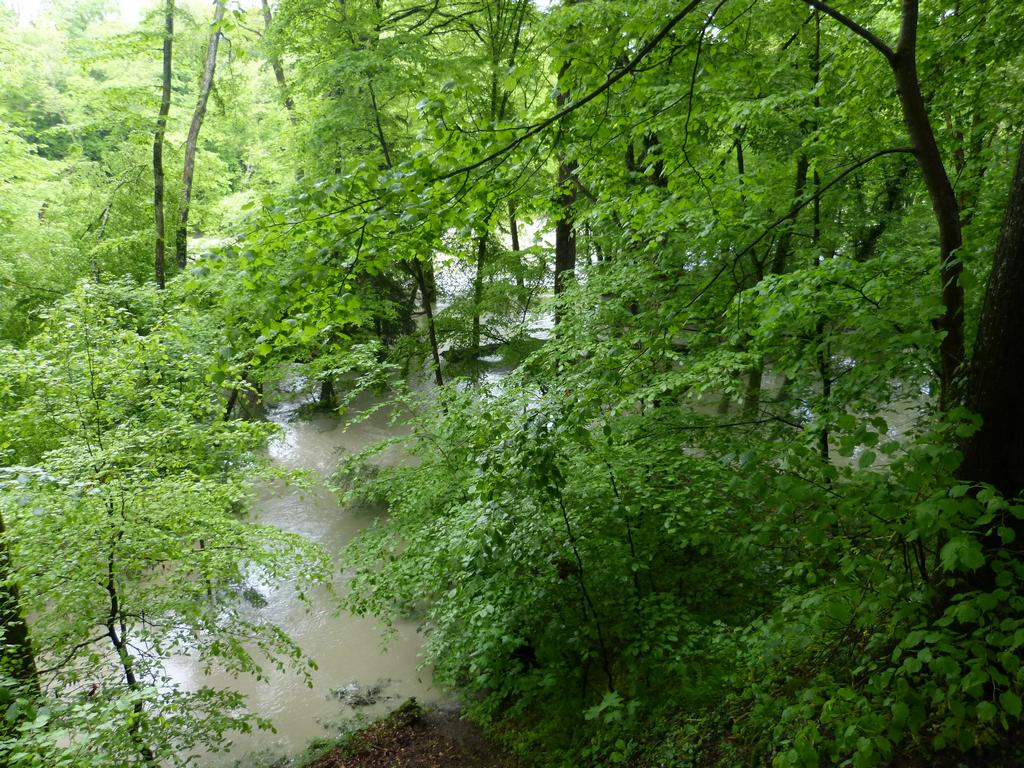 {Clic pour voir plus grand}