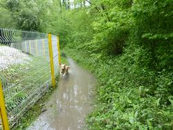 Click to see big picture (1024x768 pixels; 223 KB)