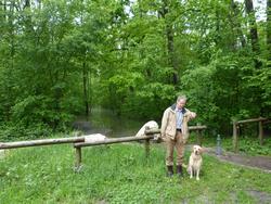 Click to see big picture (1024x768 pixels; 226 KB)