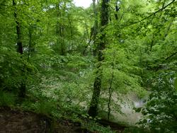 Click to see big picture (1024x768 pixels; 221 KB)