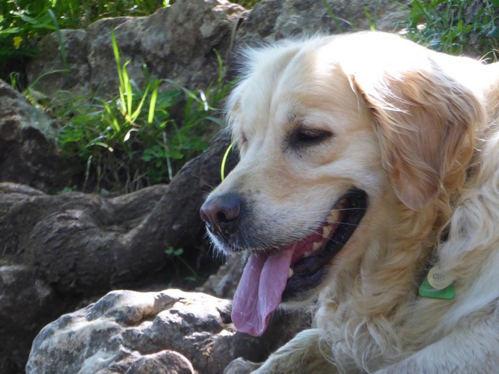 {Clic pour voir plus grand}