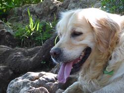 Click to see big picture (1024x768 pixels; 101 KB)