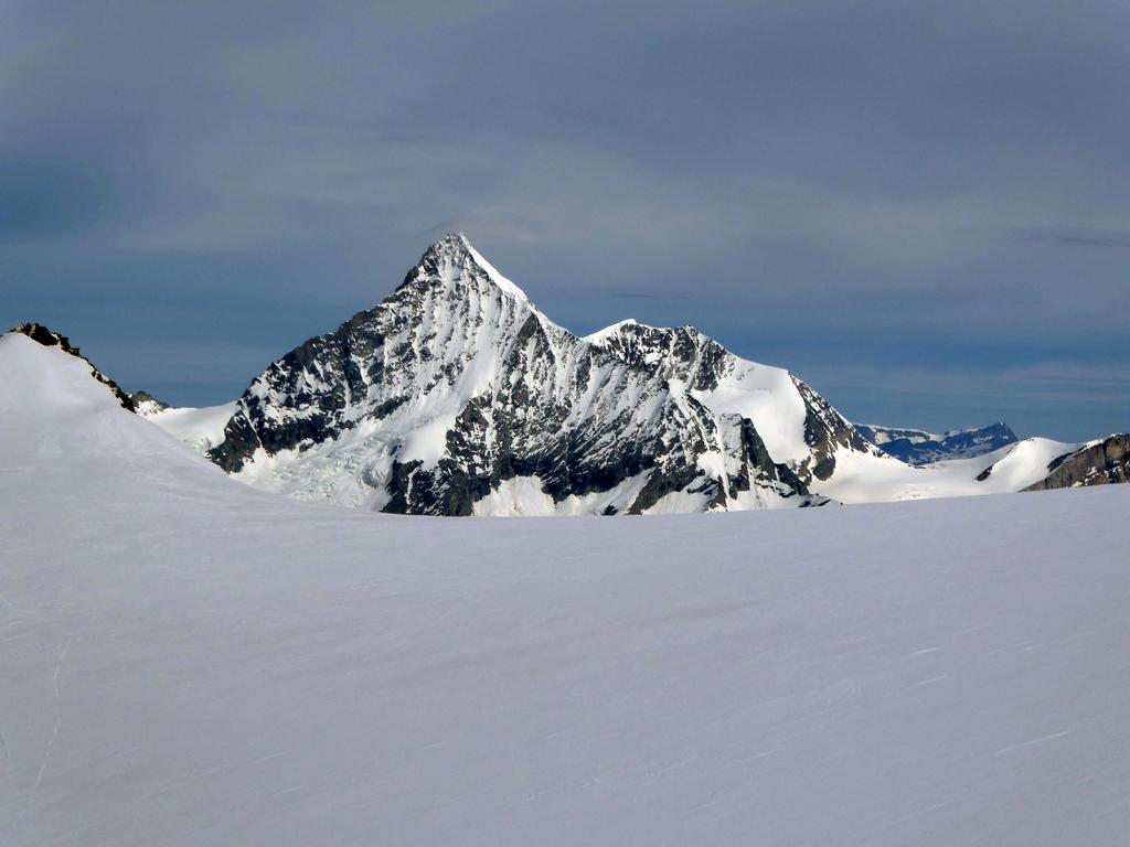 {Clic pour voir plus grand}