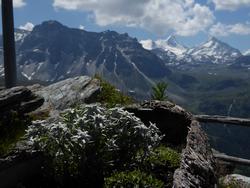 Click to see big picture (1024x768 pixels; 109 KB)