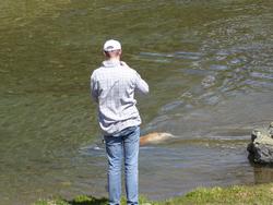 Click to see big picture (1024x768 pixels; 126 KB)