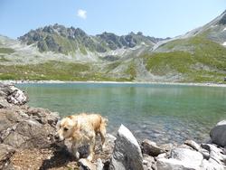 Click to see big picture (1024x768 pixels; 166 KB)