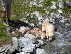 Click to see big picture (1024x768 pixels; 229 KB)