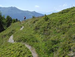 Click to see big picture (1024x768 pixels; 202 KB)