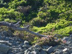 Click to see big picture (1024x768 pixels; 227 KB)