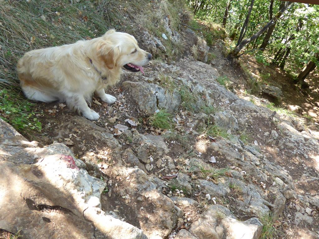 {Clic pour voir plus grand}