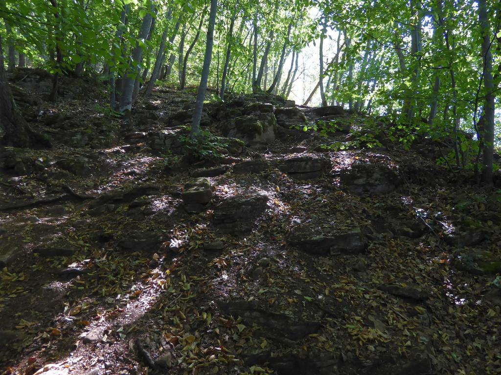 {Clic pour voir plus grand}