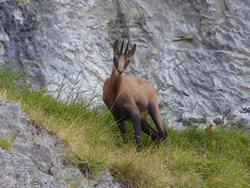 Click to see big picture (1024x768 pixels; 163 KB)