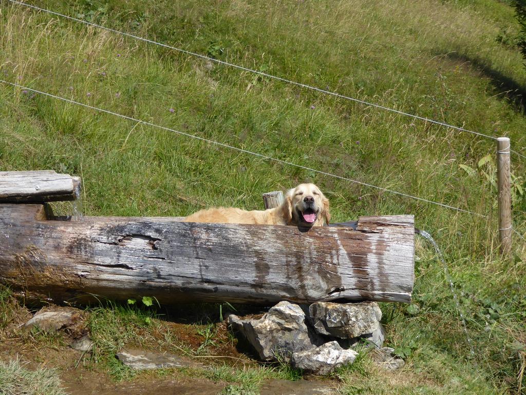 {Clic pour voir plus grand}