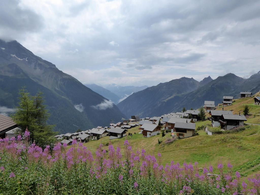 {Clic pour voir plus grand}